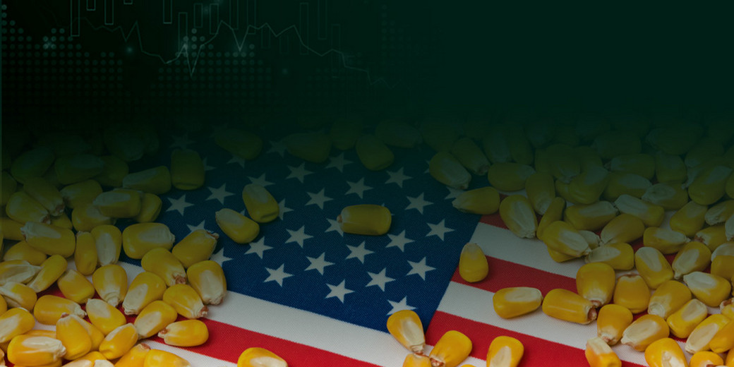 /th/Pages/US-Corn-Imports-Cut-Thai-Feed-Costs-2025-68243