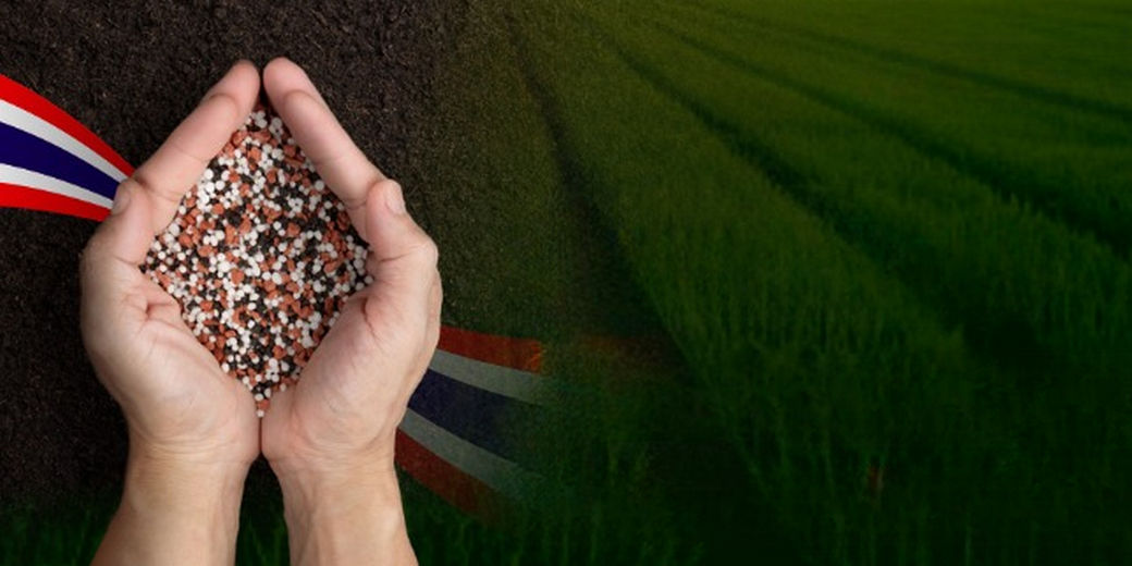 /th/Pages/Thailand-Chemical-Fertilizer-Business-Outlook-2026-69801
