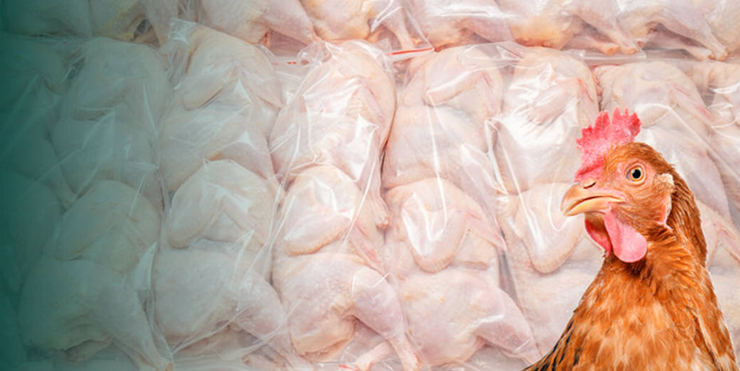 /th/Pages/Thailand-Chicken-Products-Business-Outlook-2026-70246