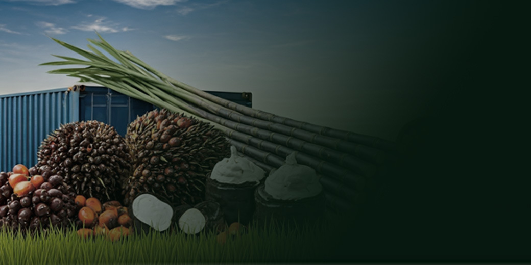 /th/Pages/Falling-Agricultural-Prices-Hurt-Thai-Farmers-Income-67697