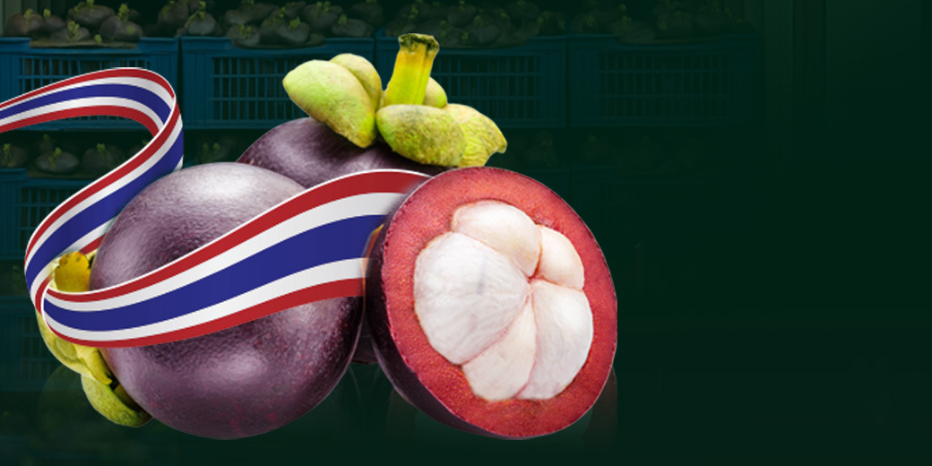 /th/Pages/Thai-Mangosteen-Price-Hits-10-Baht-July-2025-Low-67738