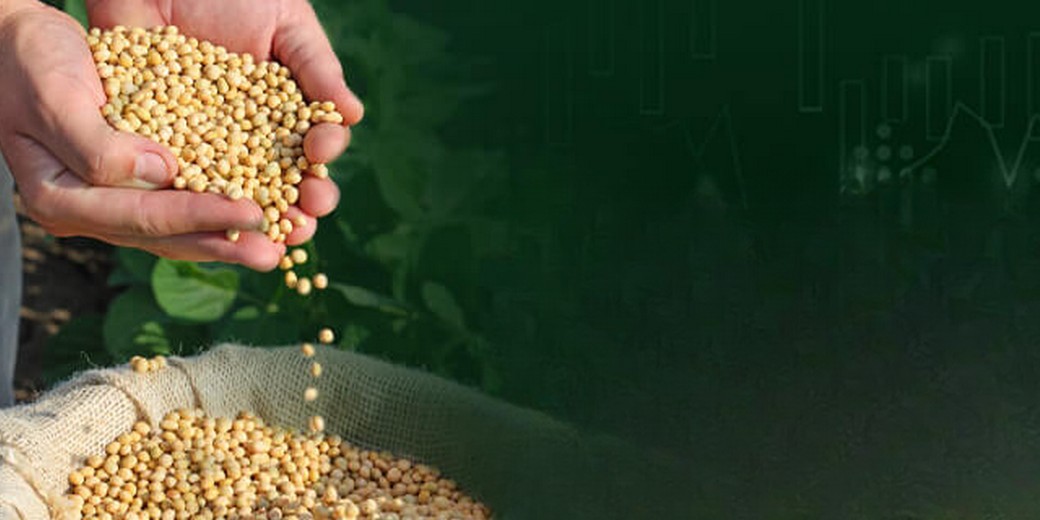 /th/Pages/Thailand-US-Soybean-Import-Scenario-67826