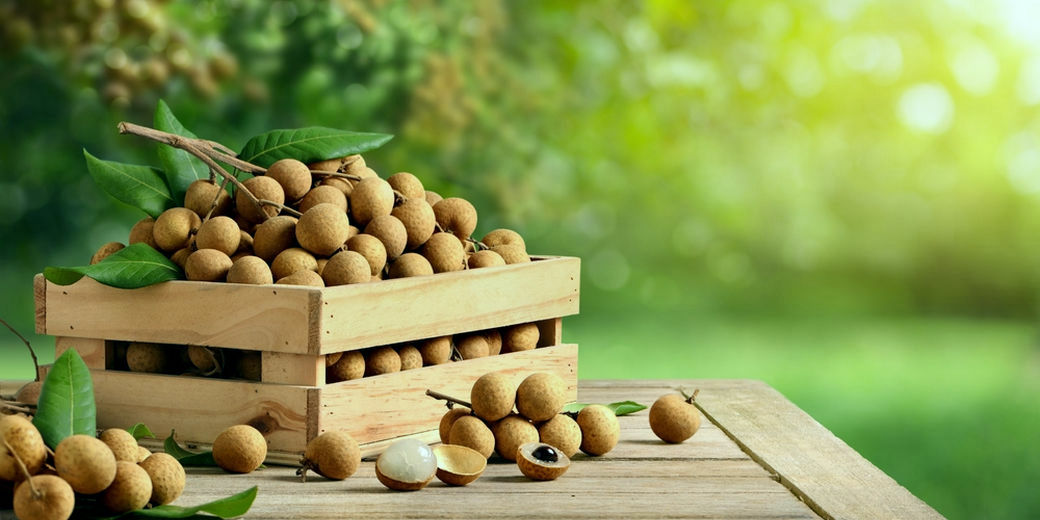 /th/Pages/Eastern-Longan-Loss-2606M-Cambodian-Worker-Exit-2025-68703