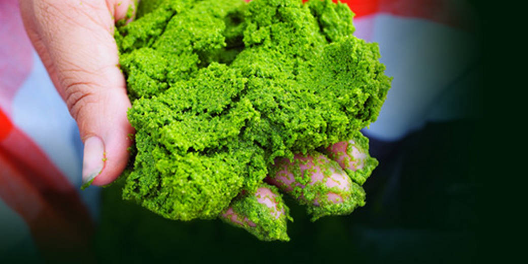 /th/Pages/Thailand-KaiPam-Superfood-Income-Nutrition-Rise-69262