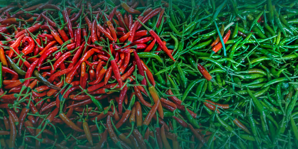 /th/Pages/Thailand-Chili-Price-Jan2026-5Year-High-71044