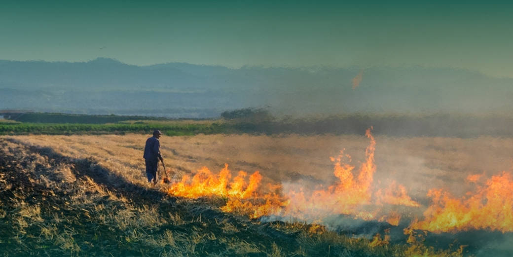 /th/Pages/Thailand-Agricultural-Burning-2026-Slowdown-Centralized-Orders-Satellite-Monitoring-71293